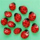Dress-it-Up - Ladybugs de 16 and 18 mm