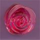 Rosa roja transparente 15 mm